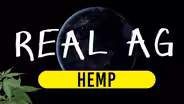 Hemp