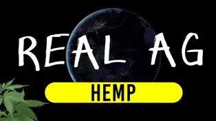 Hemp