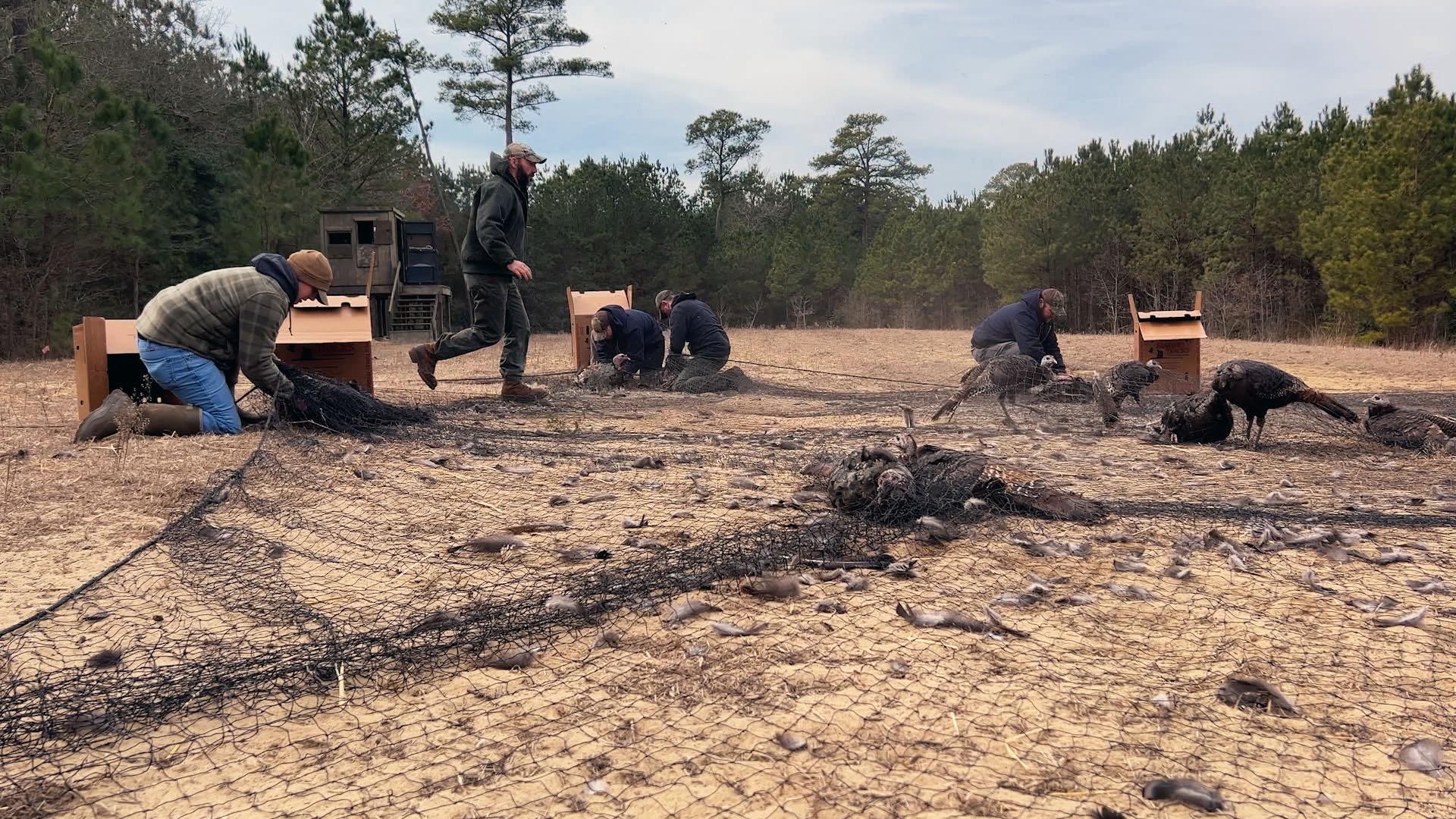 Mystery of the disappearing turkeys; training park police dogs; stream surveying.