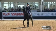 2025 Maryland 5 Star: Day 2: Dressage