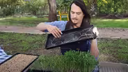 How To Grow Microgreens: Easy Fresh Food Indoors