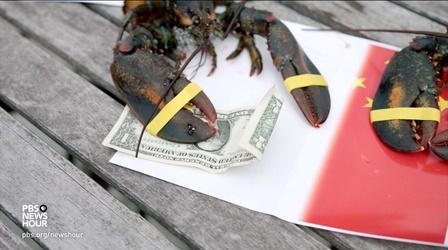 Video thumbnail: PBS NewsHour How U.S.-China trade war is pushing lobster profit to Canada