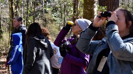 Video thumbnail: WFSU Education WFSU Partner: Florida Youth Conservation Centers Network