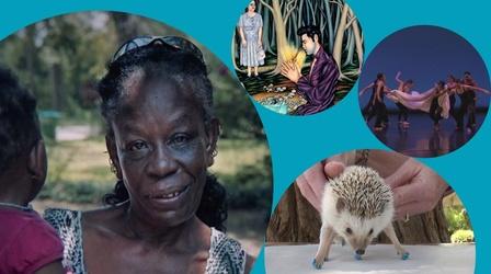 Video thumbnail: WEDU Arts Plus Episode 919