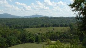 Video thumbnail: Virginia Home Grown Gardening that Gives Back | Food & Community at Farfields