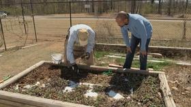 Video thumbnail: The Family Plot Planting Strawberries & Annuals