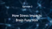 Episode 2: How Stress Impacts the Brain
