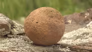 Discovering Missouri's Ancient Meteor Impacts