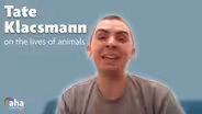 Tate Klacsmann on the Lives of Animals
