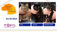 04/18/2024 | Cami, Arlene and Makers Mark | Mark's Furry Friends