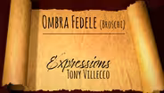 Tony Villecco | Ombra Fedele
