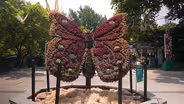 Nature's Sculptures