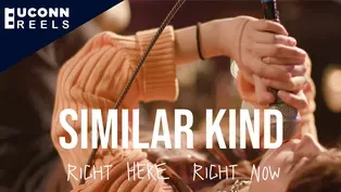 Similar Kind: Right Here, Right Now (by Shannon Nasution)