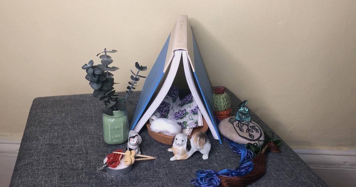 Camp TV Homemade Habitats Season 2021 PBS