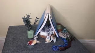 Homemade Habitats