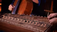 Priya Darshini at Origins Greenhouse Cafe | Space River