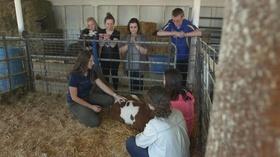 Video thumbnail: Wisconsin Life School Barn