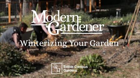 Video thumbnail: Modern Gardener Winterizing Your Garden with Edible Campus Gardens
