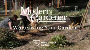 Winterizing Your Garden with Edible Campus Gardens