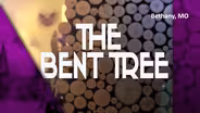 The Bent Tree Gallery