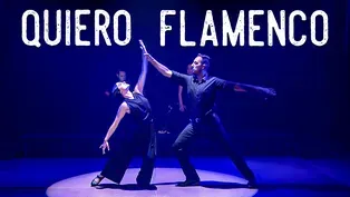 Quiero Flamenco