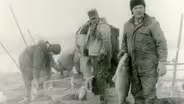 Saving Fish Tales