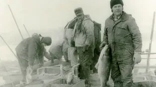 Saving Fish Tales