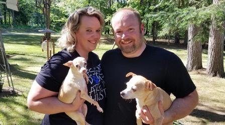 Video thumbnail: Common Ground The diverse cultures of Rescue Dogs and their Jobs