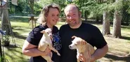 The diverse cultures of Rescue Dogs and their Jobs
