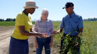 It Begins with a Seed