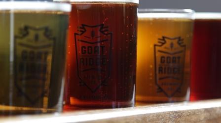 Video thumbnail: Postcards Brewery, Music, and Maze (Preview)
