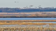 Jim and Karen Killen Waterfowl Refuge