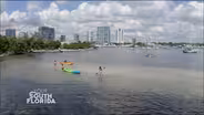Saving the Bay
