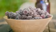 Blackberry