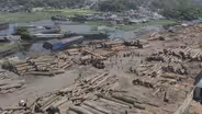 Widespread logging threatens critical Congo Basin rainforest