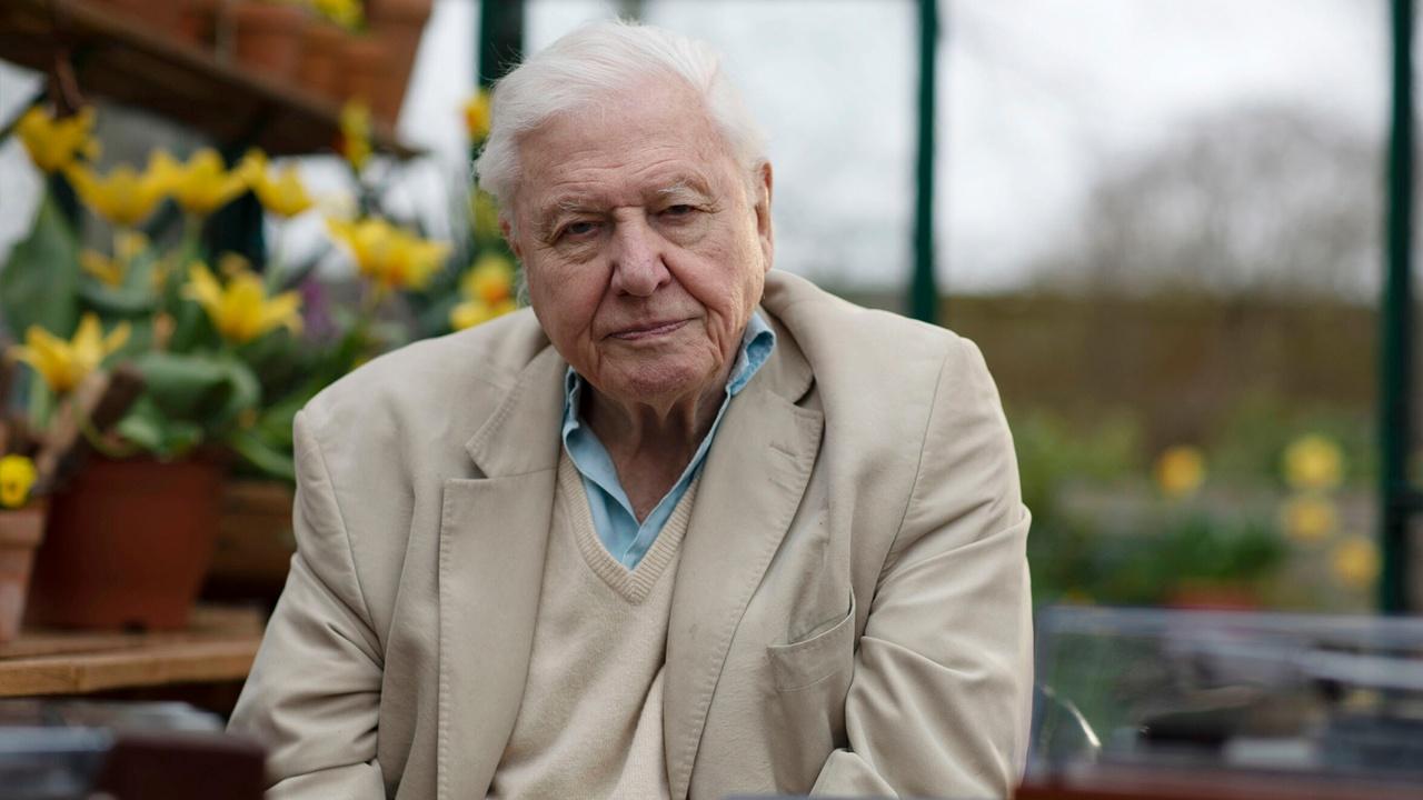 Nature Attenborough's Wonder of Song airing Wed, May 20 7:00 pm