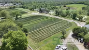 Oklahoma Gardening June 28, 2025