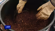 You Bet Your Garden S4 Ep3 A Great Garden