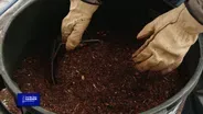 You Bet Your Garden S4 Ep3 A Great Garden