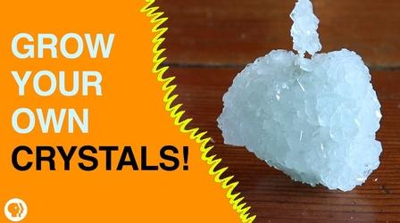Video thumbnail: Gross Science Grow Your Own Crystals!