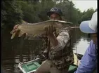1991 Season Preview