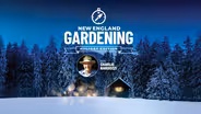 New England Gardening Holiday Edition with Charlie Nardozzi