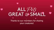 WTTW's All Pets Great & Small
