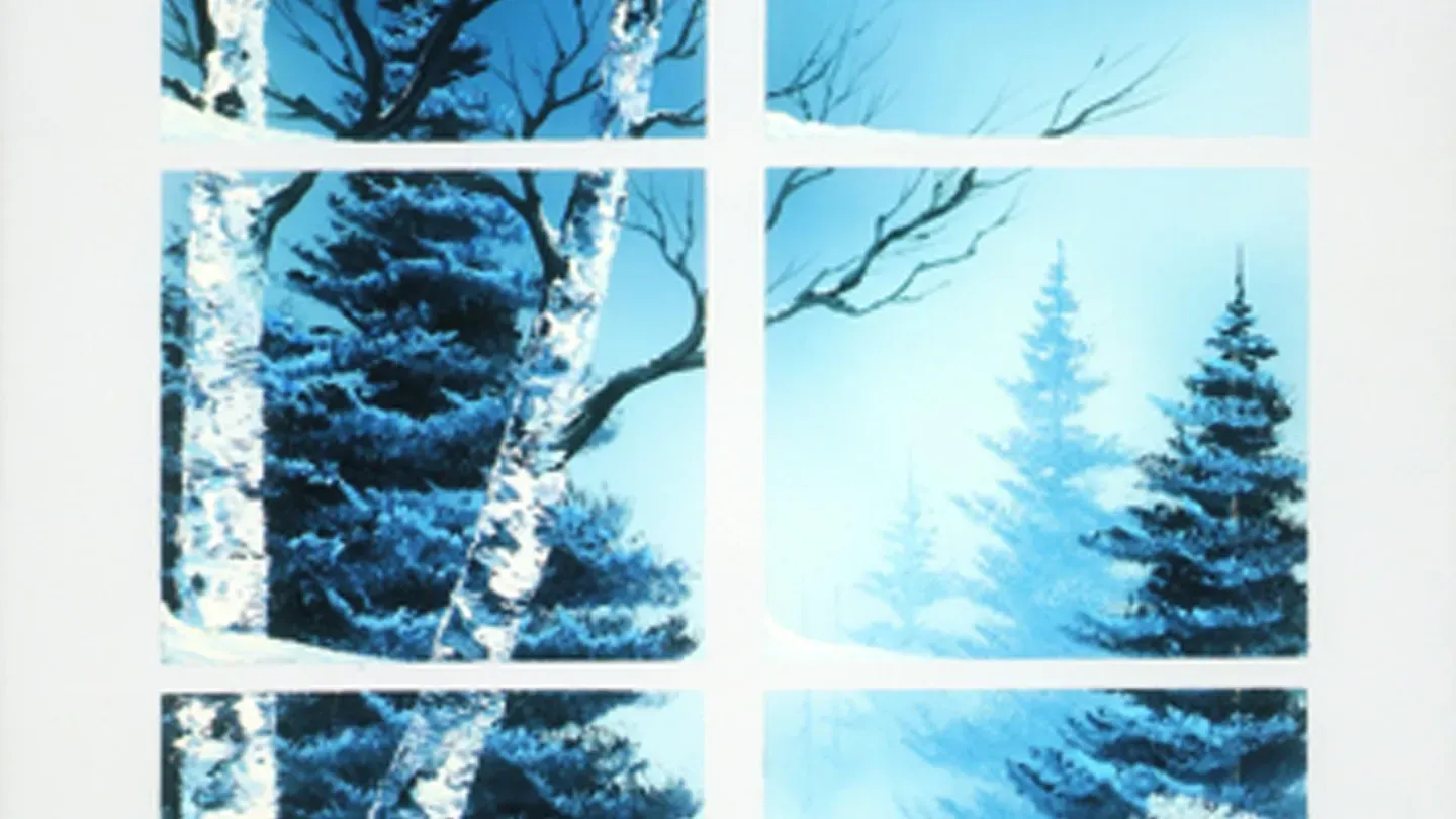 Through the Window