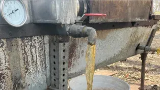 Making Maple Syrup