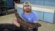 Students found a ship that exploded 275 years ago