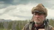 Into the Wild