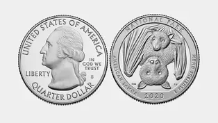 Newest US Quarter Inspires Collectors with Fruit Bats