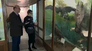 The Mystery of Nathan Leopold’s Bird Collection