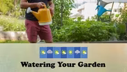 Watering Your Garden